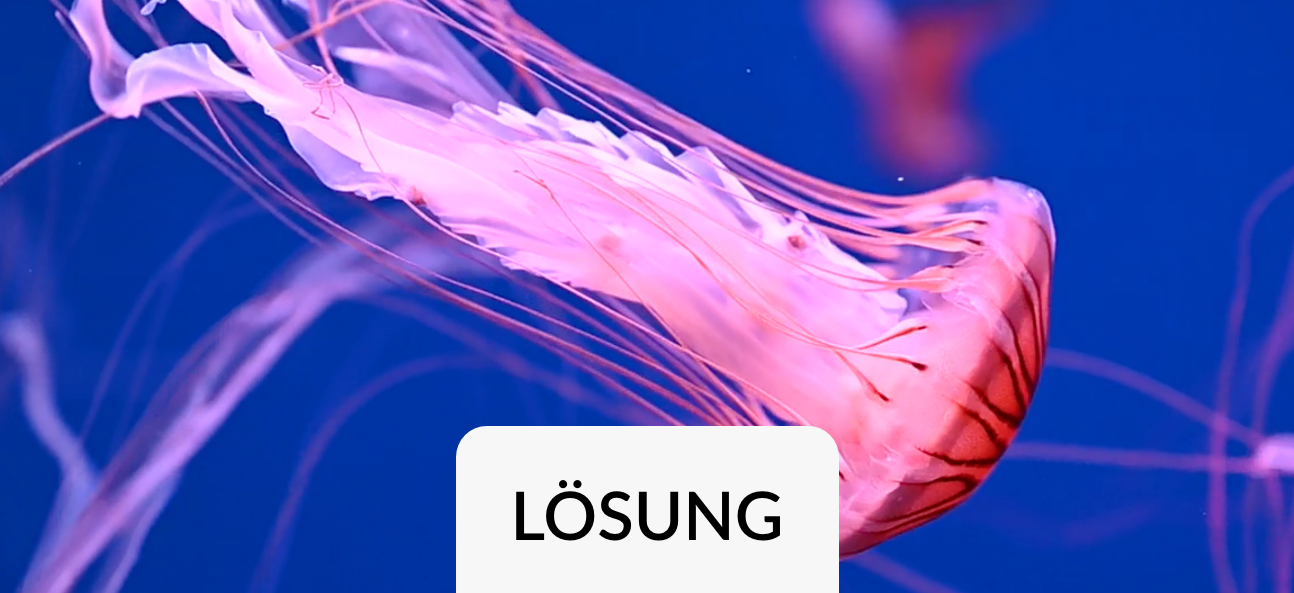 Lösung Data Science