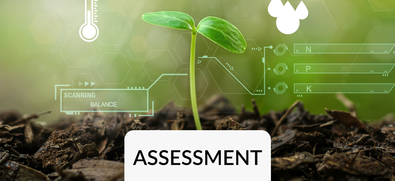 Dashboard & Reporting Assessment | Key Visual | Mit Dashboards und Reportings landen Ihre Daten in neuen Galaxien | kleine Pflanze mit abstrakten Grafiken