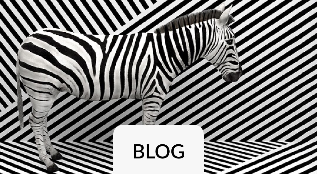 IBCS-konform: Mit Zebra BI schneller zu aussagekräftigen Reports