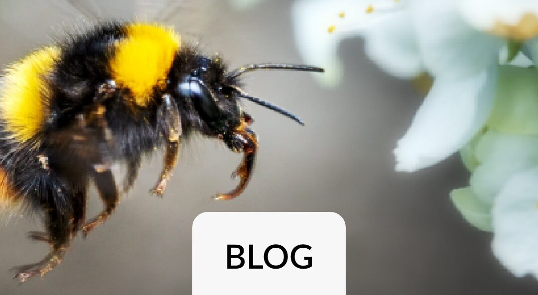 Power BI Sync Architecture