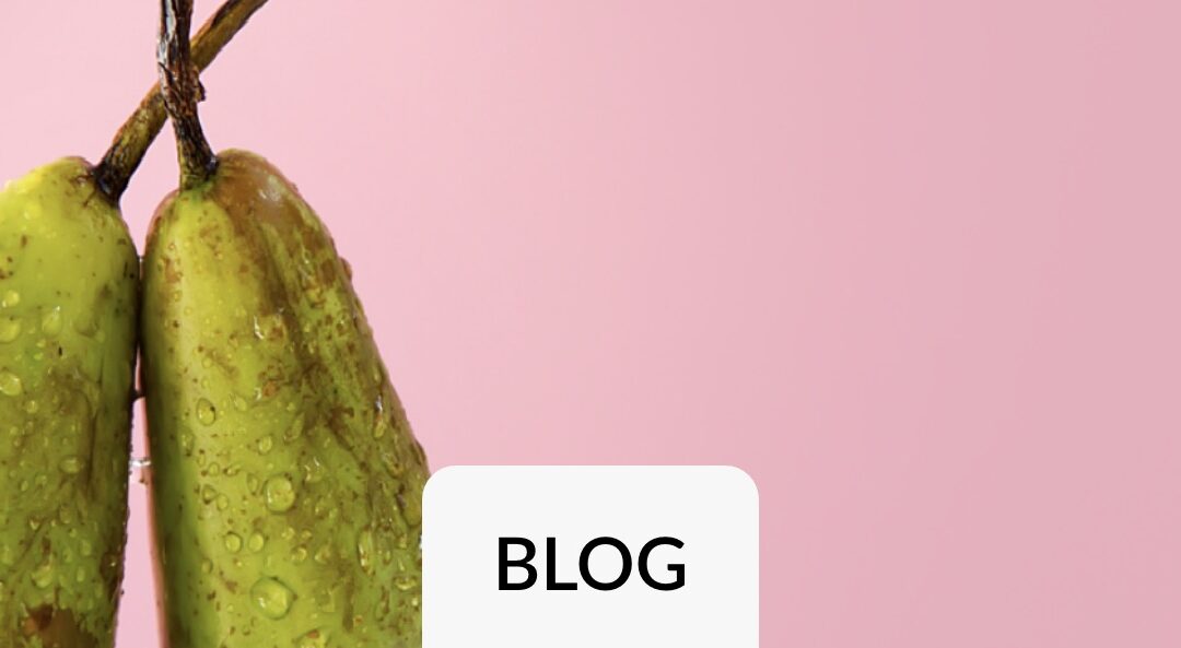 Warum Data Science Projekte nur gemeinsam erfolgreich sind?