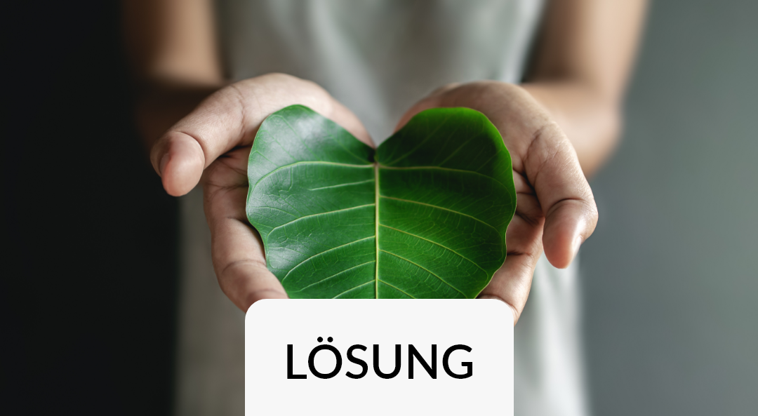 Smart Start ESG Light | Key Visual | Herzförmiges Blatt in den Händen