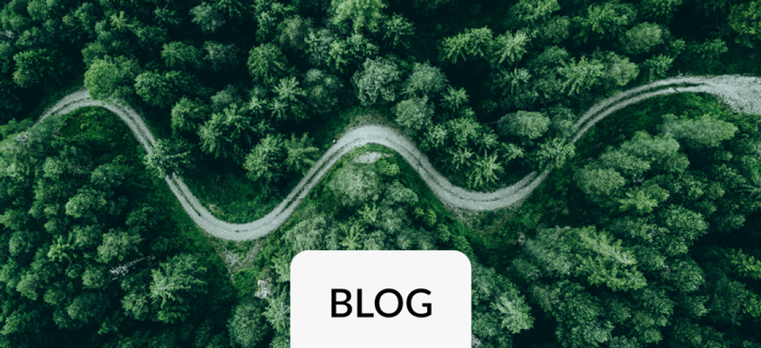 Green Controlling (Teil 4/8) – Stufe 1 im ESG-Reifegradmodell: Die regulatorischen Auflagen erfüllen