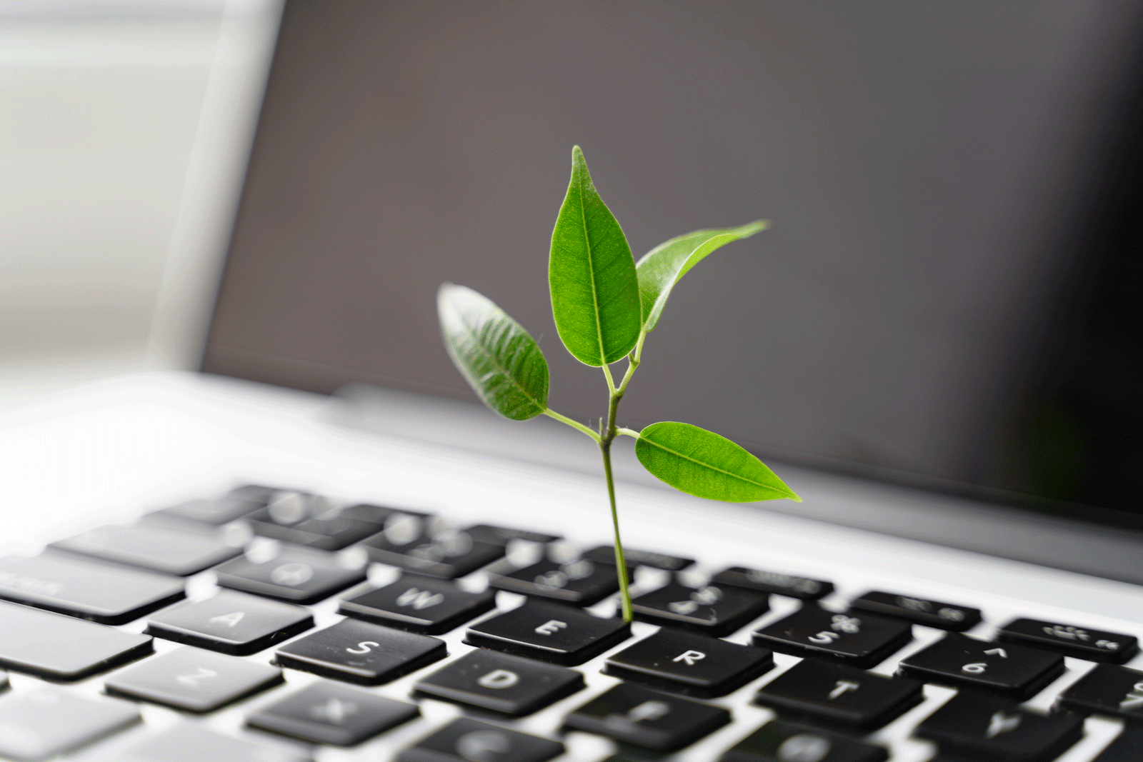 Power BI on SAP mit Xtract Universal