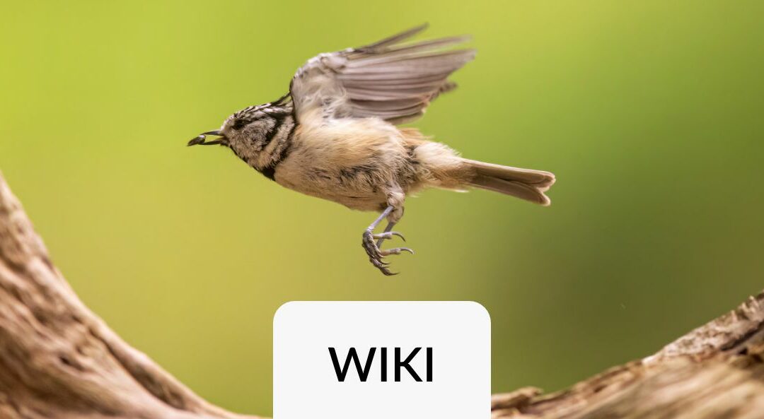 Datenmigration