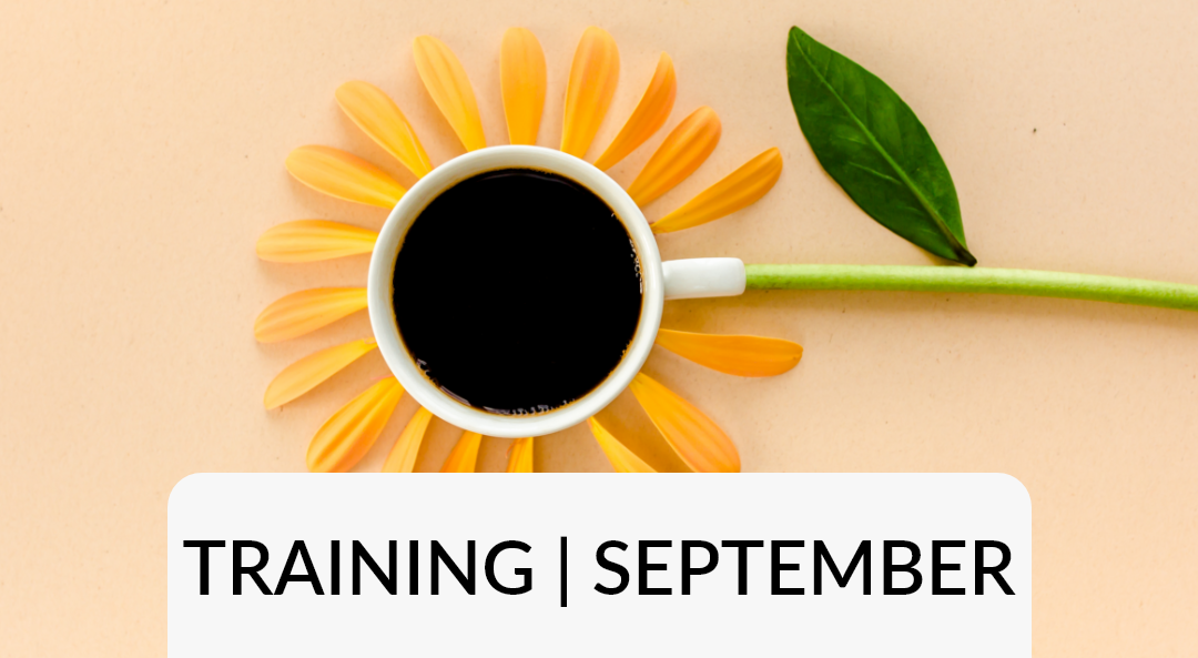 Power BI-Workshop: Dashboard in a Day