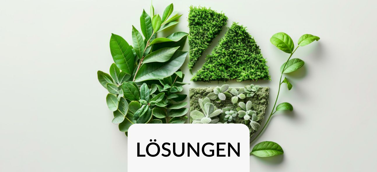 ESG Lösungen