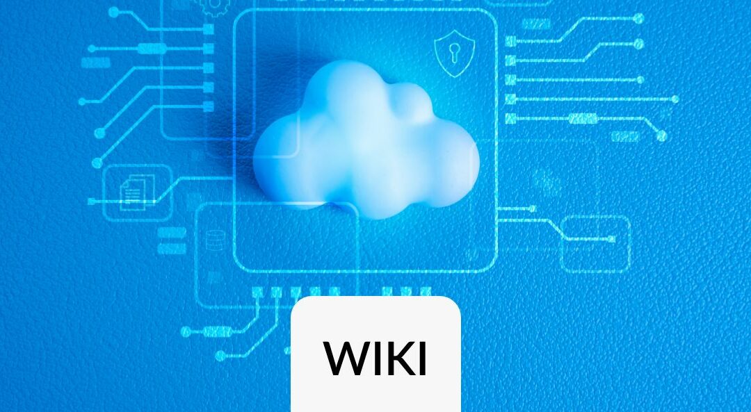 IDMC Intelligent Data Management Cloud