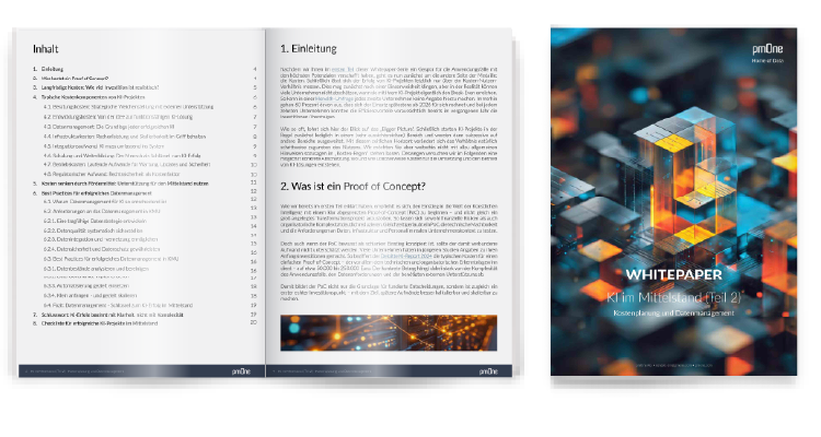Whitapaper Fluence+PowerBi Mockup