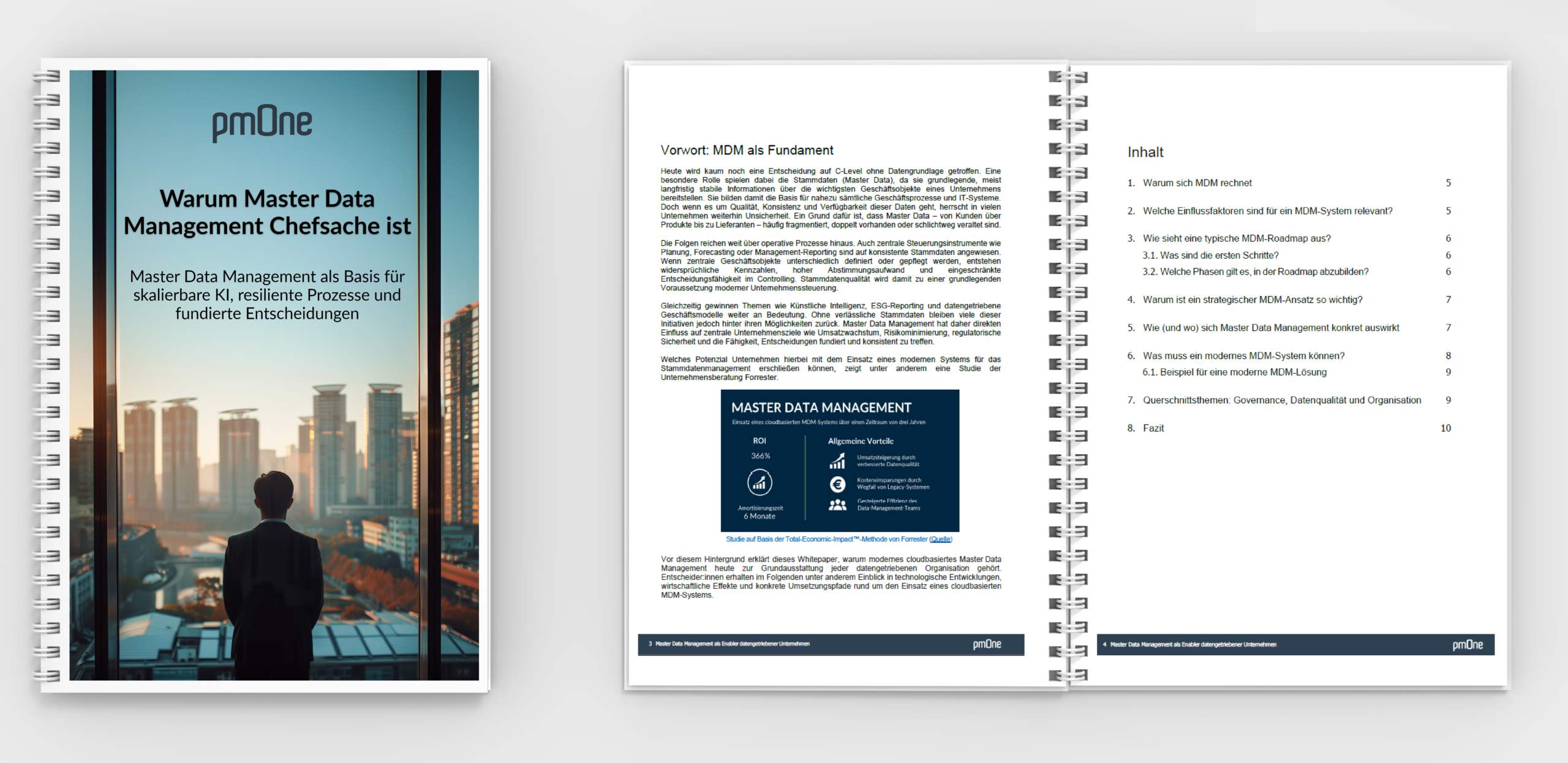 Whitapaper Fluence+PowerBi Mockup