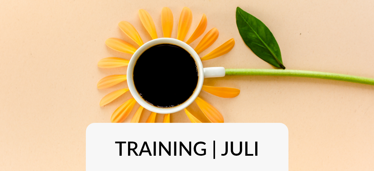 Beitragsbild Dashboard in a Day Training für Juli